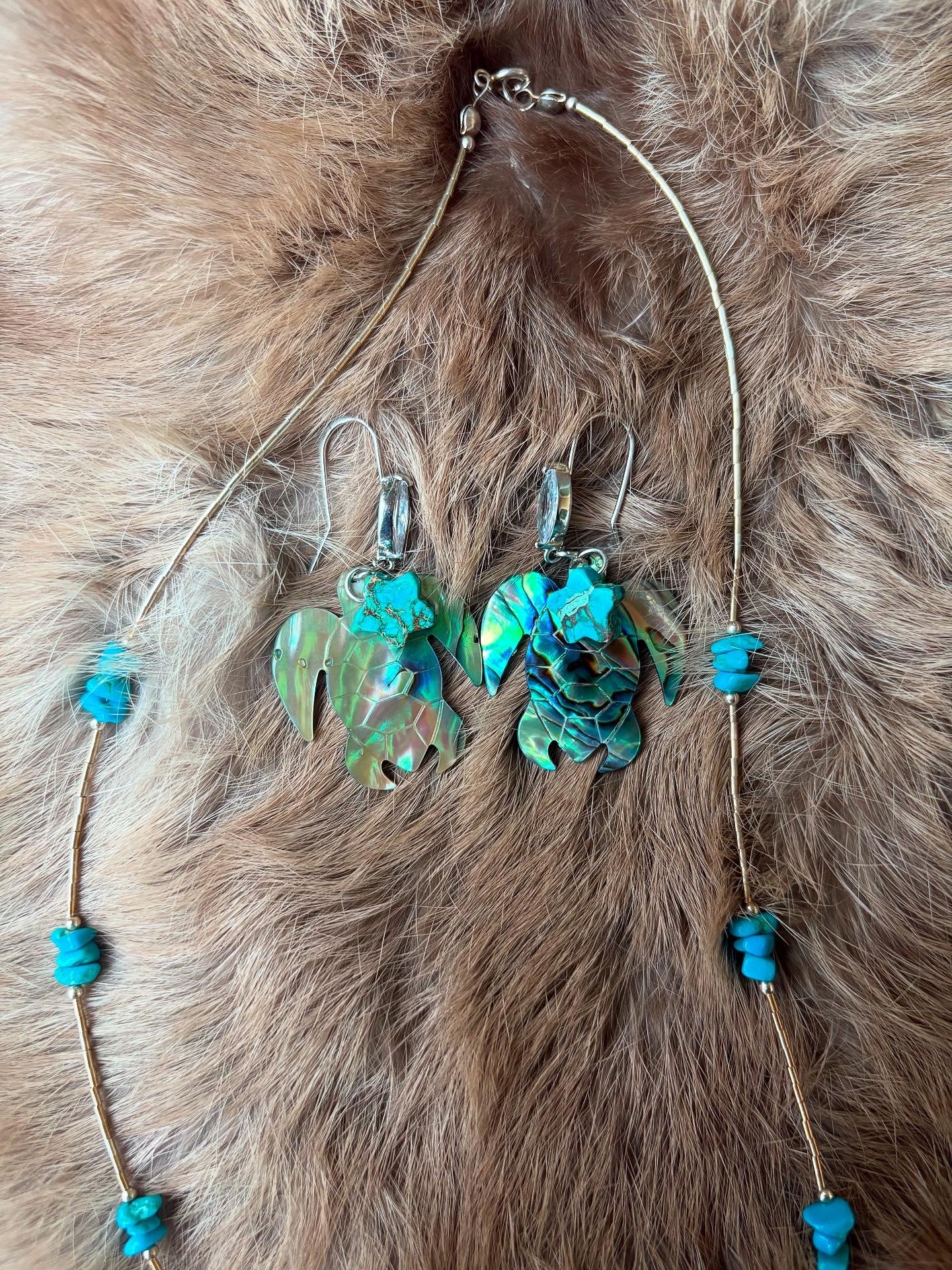 Turtle Star Set