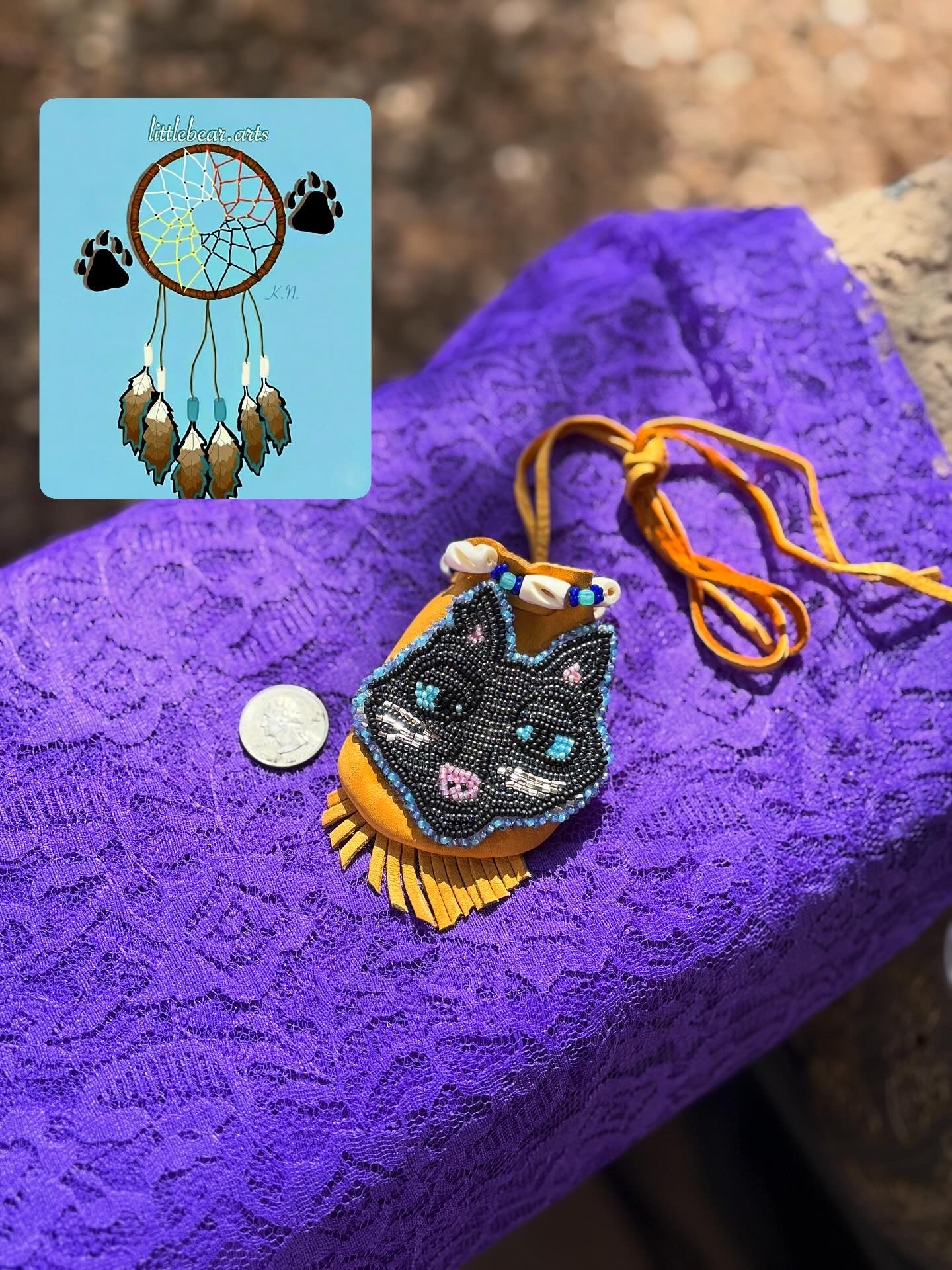 Coraline Cat Medicine Pouch